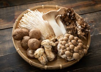assorted japanese mushroom